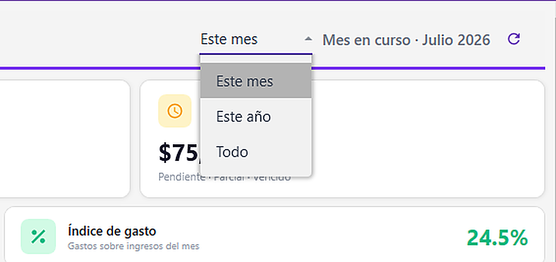 Filtros del dashboard